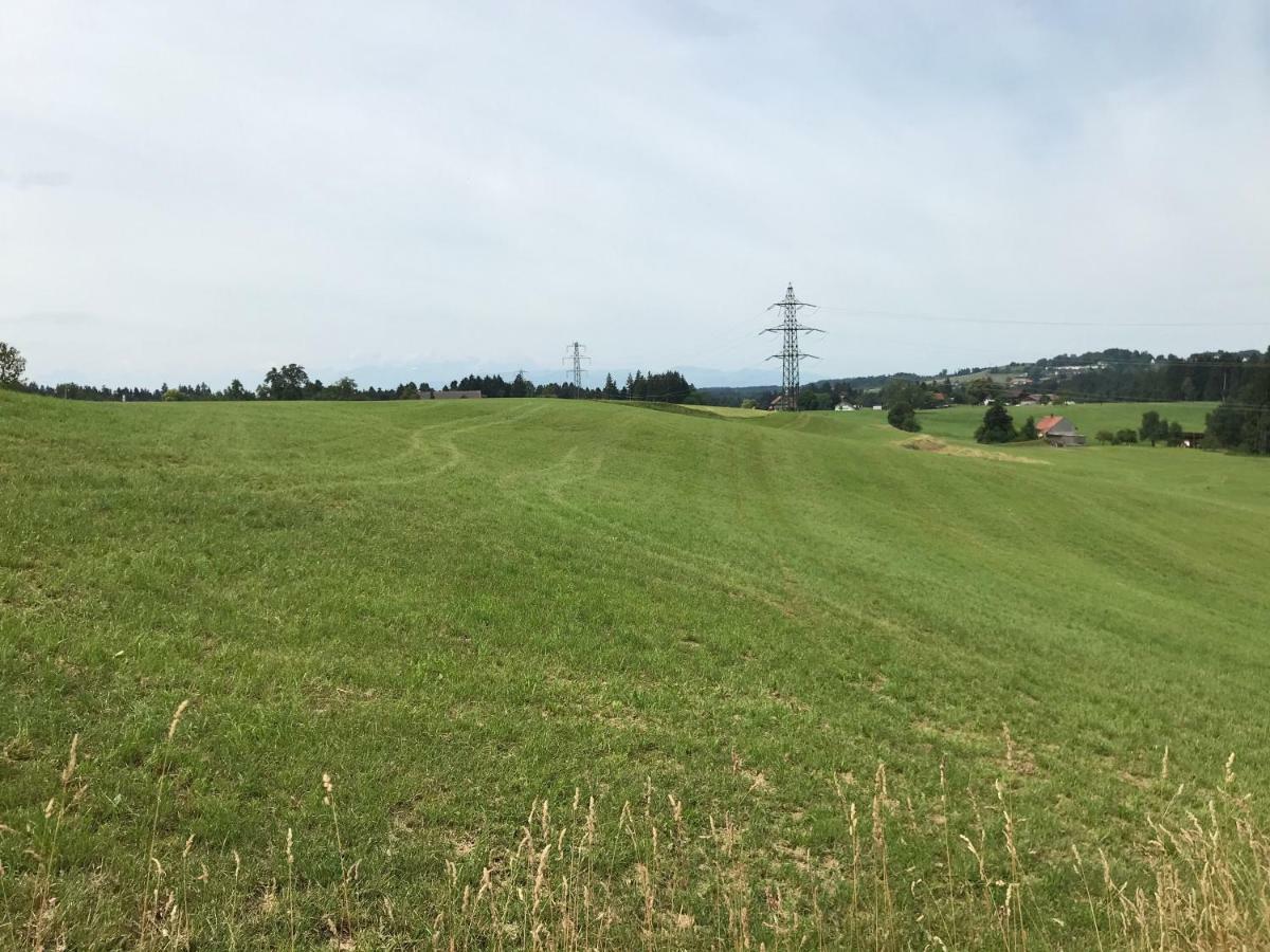 Hohenweiler Haus Stegmeir מראה חיצוני תמונה